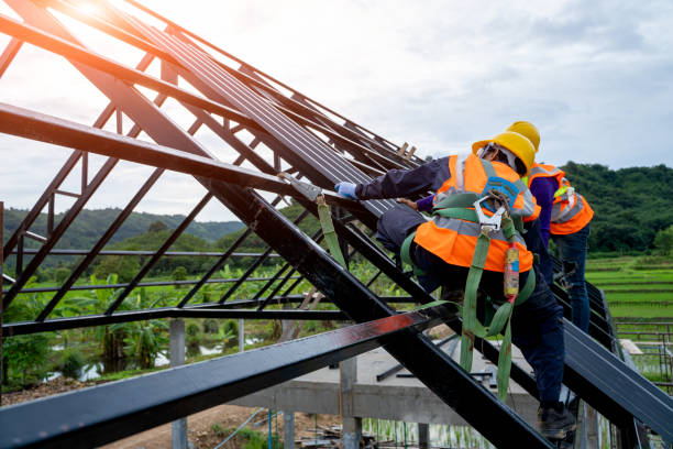 Best Gutter Installation and Roofing  in St Michael, MN