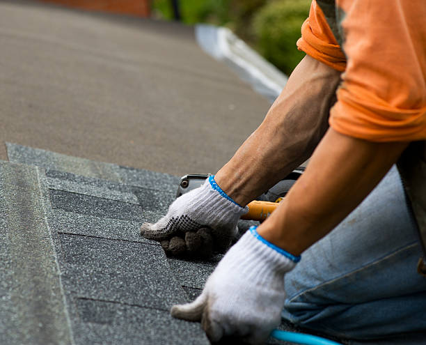 Best Commercial Roof Installation  in St Michael, MN