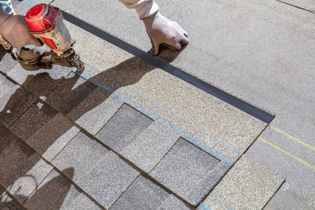 Best Roof Repair Services  in St Michael, MN