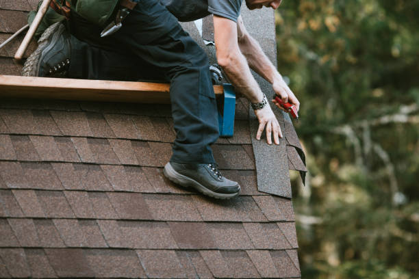 Best New Roof Installation  in St Michael, MN